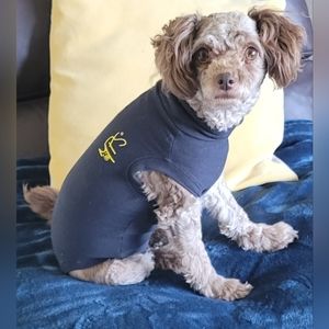 Medical Pet Shirt or Onsie